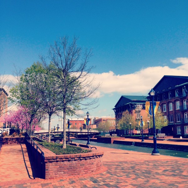 Carroll Creek in Frederick, MD on a beautiful April afternoon. | Photo by McKenna