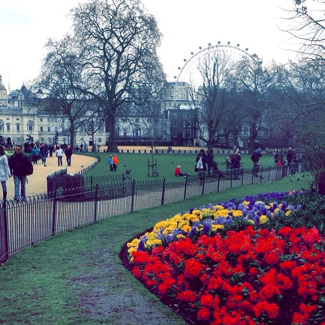 St. Jame's Park | Photo by McKenna